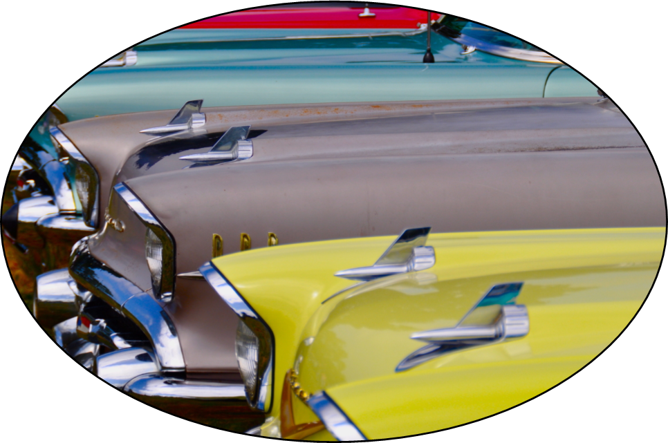 Photo of the hoods of several classic Chevy's lined up at a car show.